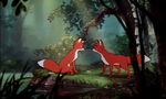 Fox-and-the-hound-disneyscreencaps.com-7155