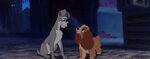 Lady-tramp-disneyscreencaps.com-5251