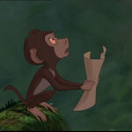 Baby Baboon Disney Wiki Fandom Tarzan was a small orphan who was raised by an ape named kala since he was a child. baby baboon disney wiki fandom