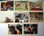 Run-appaloosa-run-1966-original-uk-lobby-card-set-walt-disney-adele-palacios-hugh-cherry-1621-p