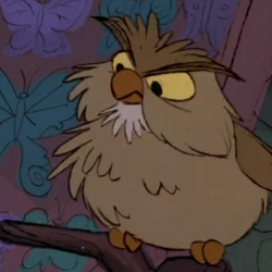Category:Owls | Disney Wiki | Fandom