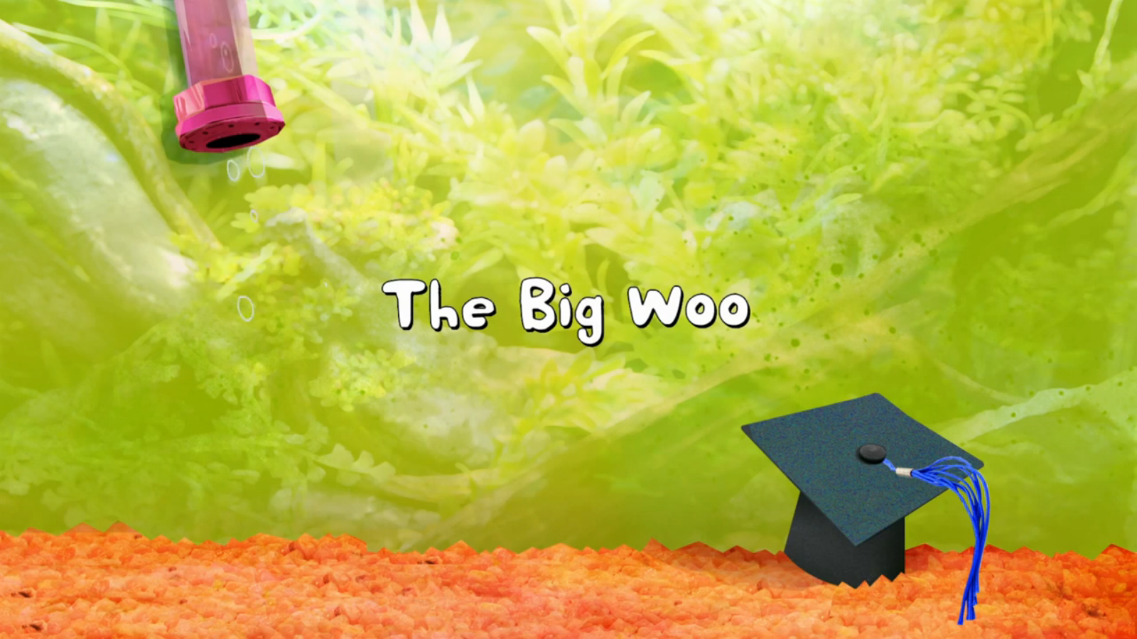 The Big Woo, Fish Hooks Wiki