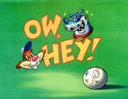 Title card without credits