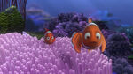 Finding-nemo-disneyscreencaps.com-279