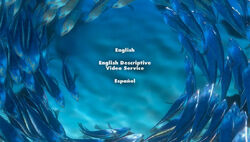 Finding Nemo Video Gallery Disney Wiki Fandom