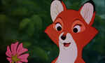 Fox-and-the-hound-disneyscreencaps.com-7494