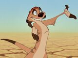 Timon