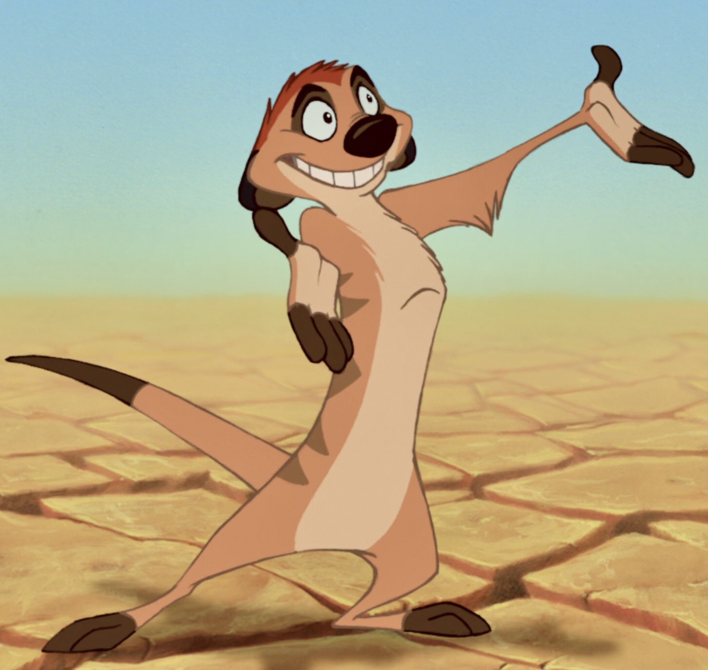 What animal is timon