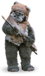 Wicket W. Warrick (Star Wars)