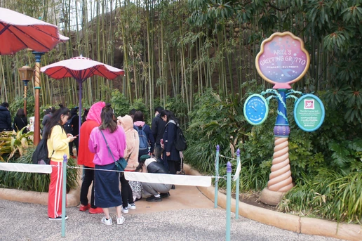 Ariel Greeting Grotto TDS