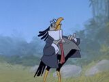 Secretary Bird