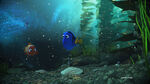 Finding Dory Kinect Rush