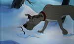 Fox-and-the-hound-disneyscreencaps.com-3925