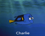 Charlie Finding Dory