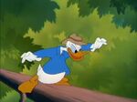 Donald Duck - Out On A Limb 195020