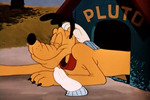 Gloves petting pluto