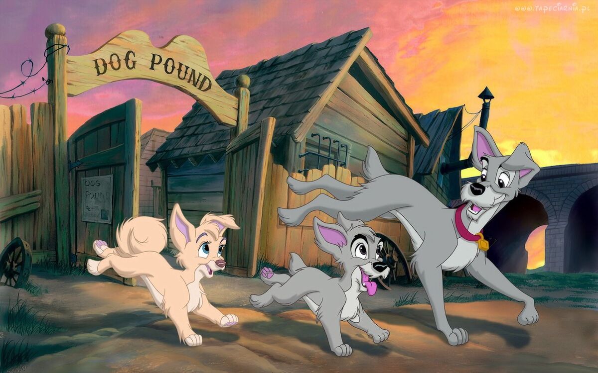 Lady and the Tramp II: Scamp's Adventure/Gallery | Disney