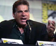 Lou Ferrigno speaks at the 2016 San Diego Comic Con.