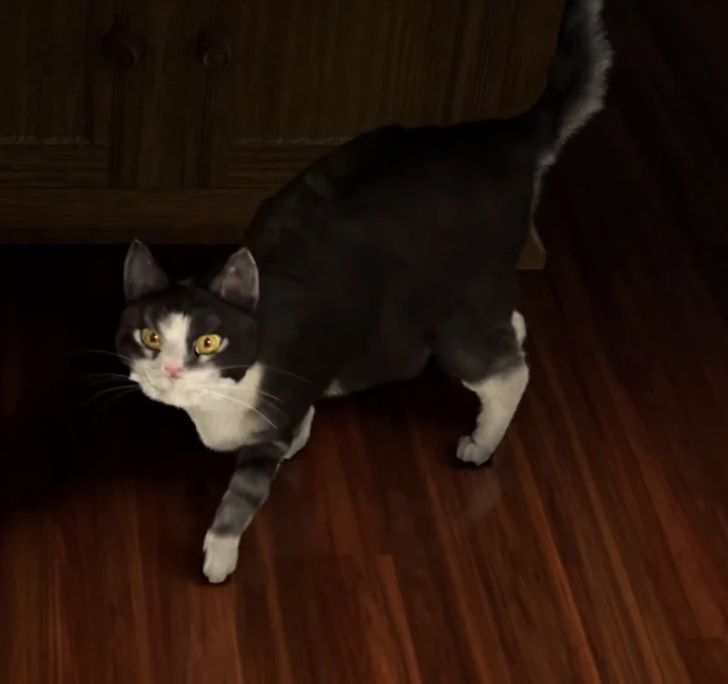Cujo