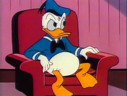 This Is Your Life Donald Duck Walt Disney Presents Episode Disney Wiki Fandom