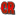 Camp Rock Wiki favicon