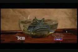 Yamakoshi