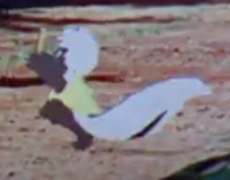 Skunky