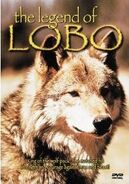 The Legend of Lobo DVD
