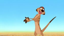 Timon-(The Lion King)