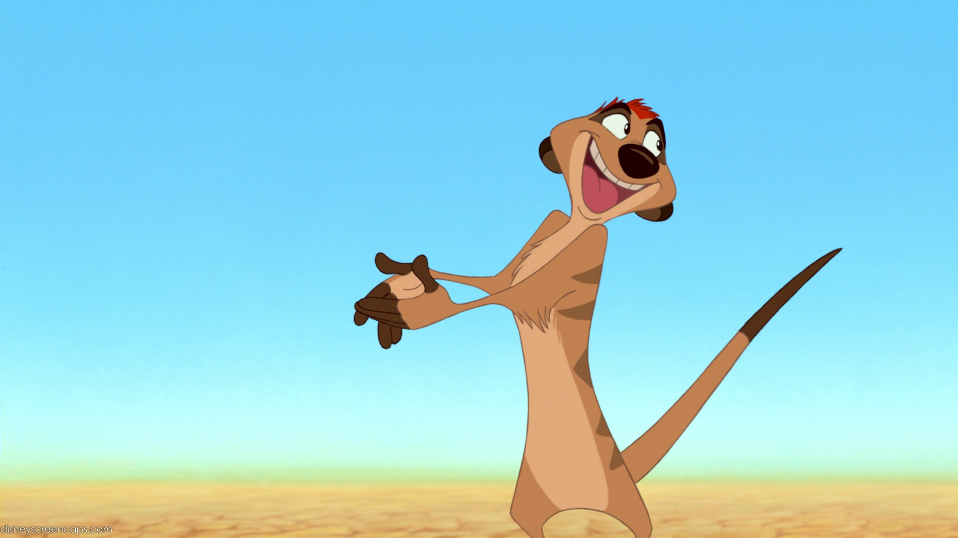 lion king characters timon