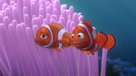 Finding-nemo-disneyscreencaps.com-49