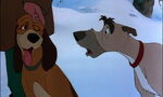 Fox-and-the-hound-disneyscreencaps.com-4085