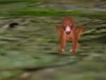 Zini in Disney's Dinosaur game