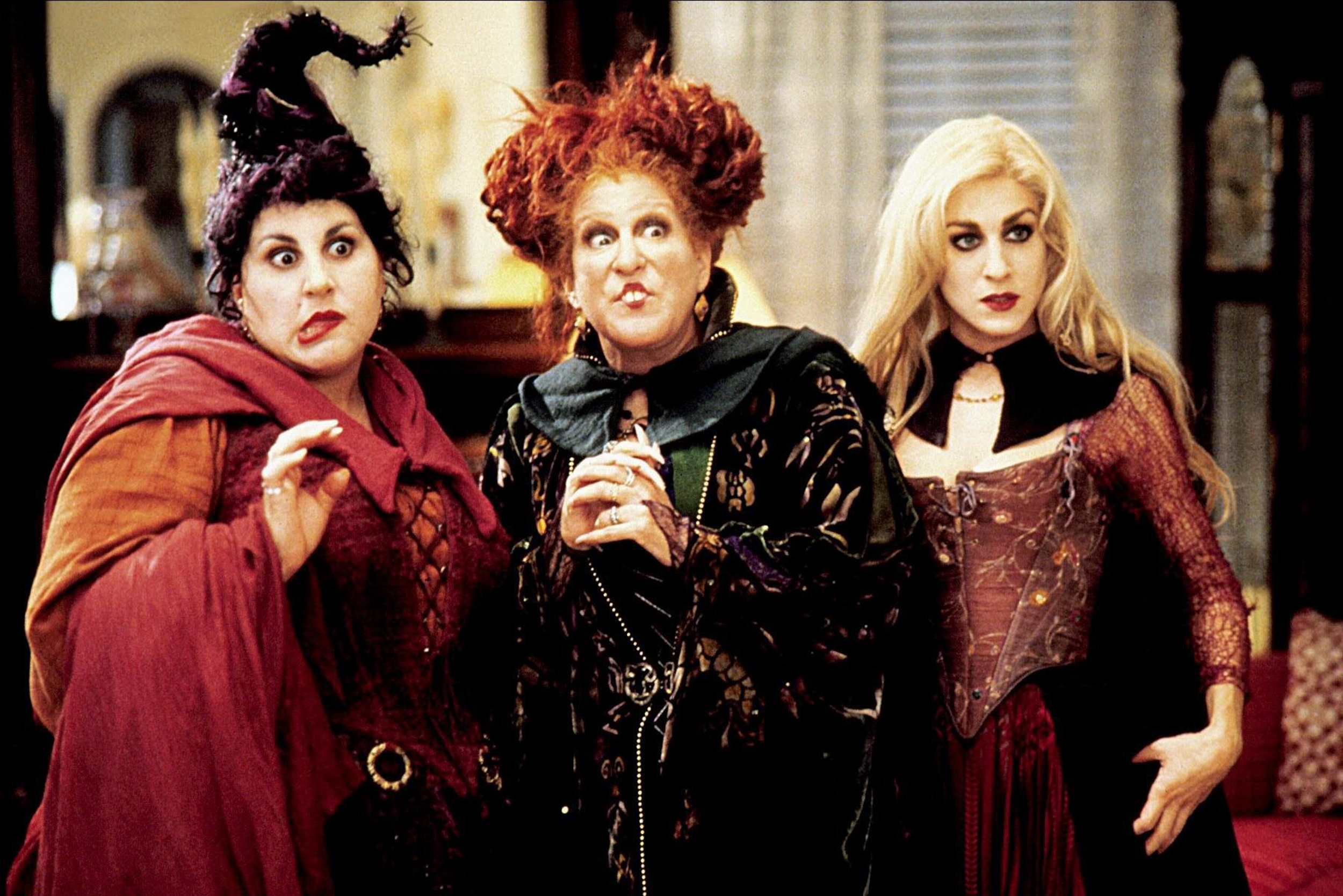 Watch The Sanderson Sisters Are Resurrected in Disneys Hocus hocus pocus  HD wallpaper  Pxfuel