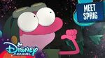 Meet Sprig! Amphibia Disney Channel