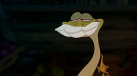 Princess-and-the-frog-disneyscreencaps com-7481