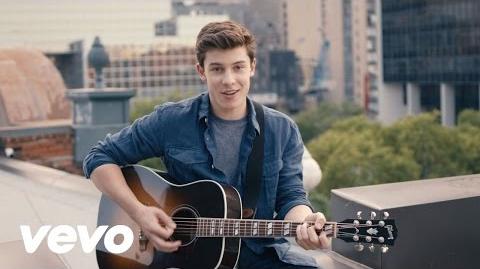 Shawn Mendes - Believe (Official)