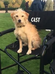 Bobby en el set