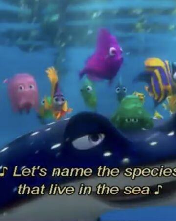 Let S Name The Species Disney Wiki Fandom Finding nemo is pixar 's fifth feature film. let s name the species disney wiki