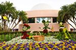 Mickey, Minnie, and Pluto Topiary