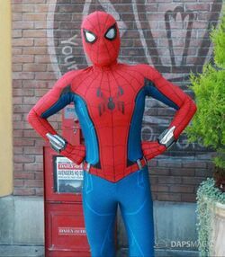 Spider Man Disney Wiki Fandom - spiderman 2002 homemade suit roblox