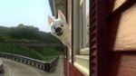 Bolt experiences the thrill of sticking his head out of a window