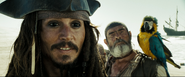 Jack-Cotton-AWE.png (2.73 MB) Cotton with Captain Jack Sparrow.