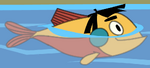 Kuzco (Fish)