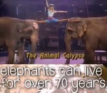 Screen Shot 2024-08-12 at 5.51.39 PM.png (1.73 MB)