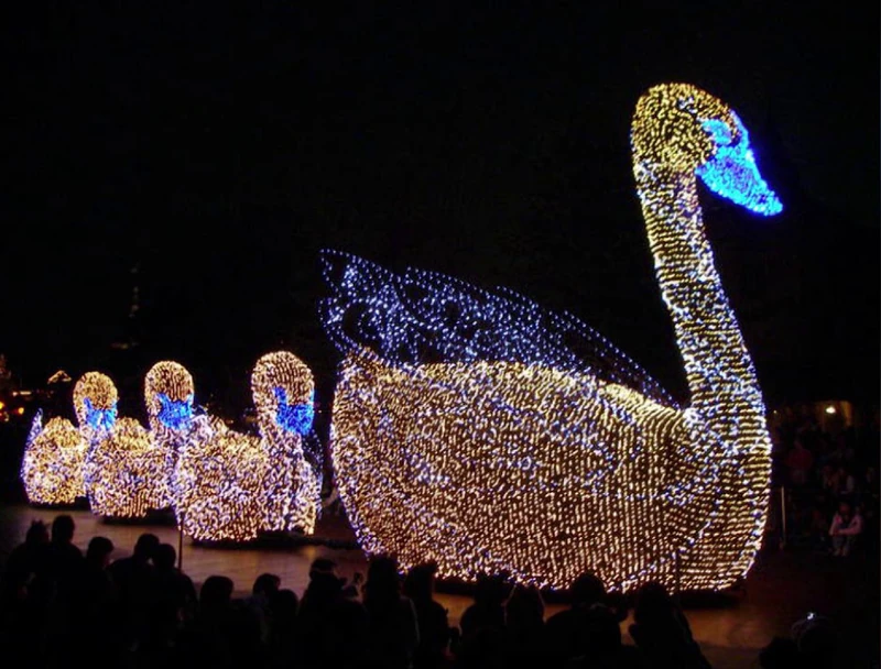Swans