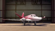 Rochelle in Planes