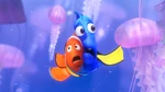 Dory and Marlin stuck in the jellyfish swarm