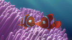 Finding-nemo-disneyscreencaps.com-82