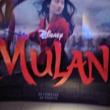 IMG 20200904 150657 114.jpg